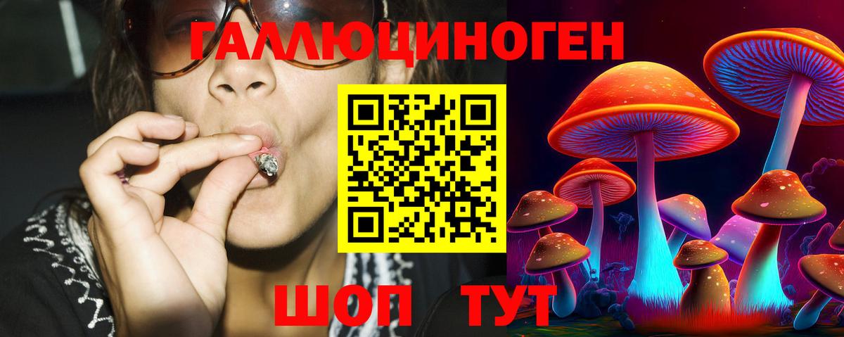 Гуково  Псилоцибиновые грибы Psilocybine cubensis  Вход с VPN 